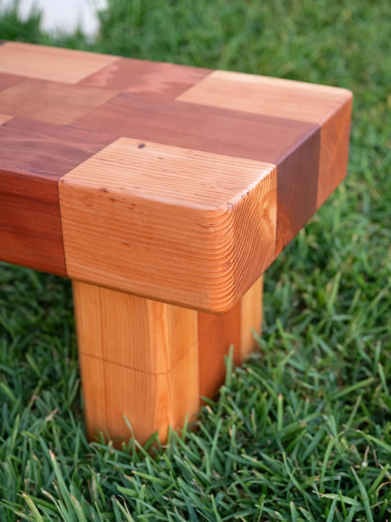 Barney & Betty's Favorite Garden Bench