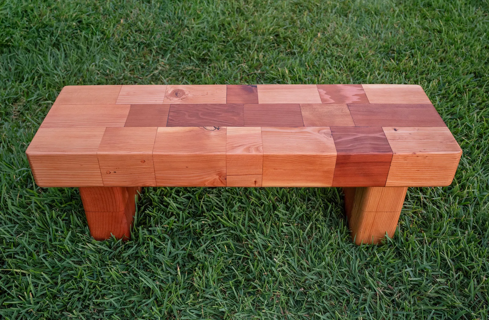 Barney & Betty's Favorite Garden Bench