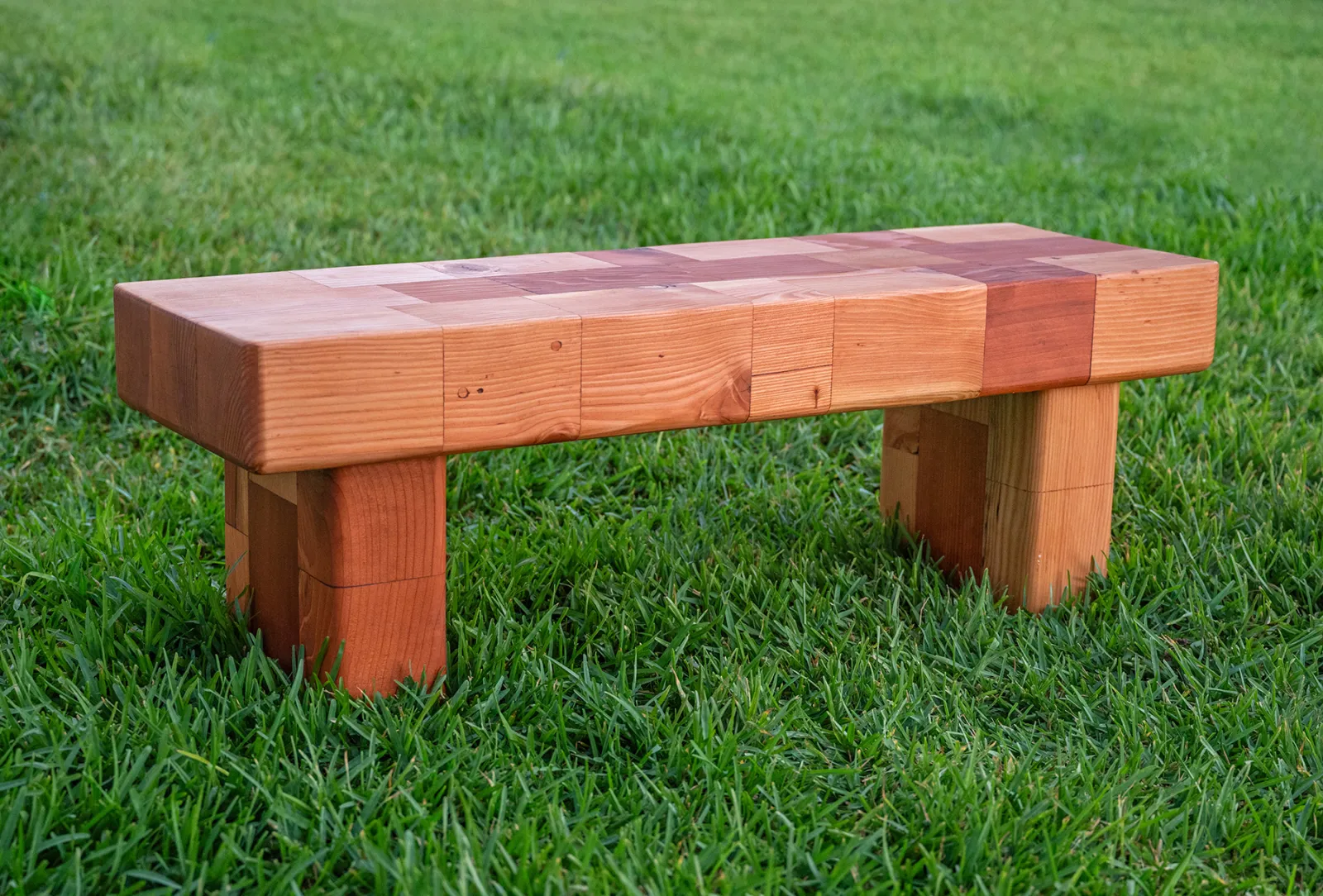 Barney & Betty's Favorite Garden Bench