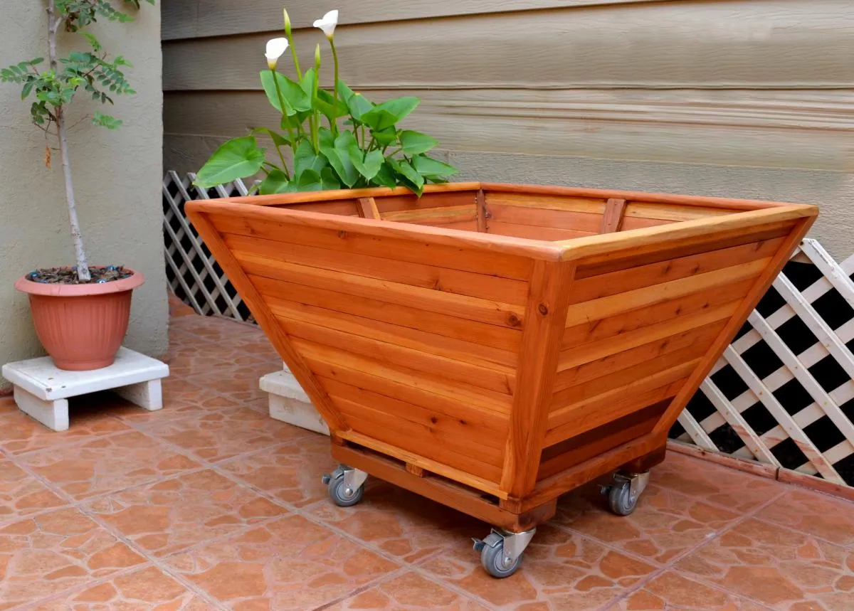 Bonsai Planters