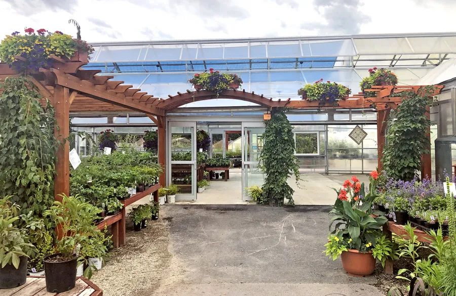 Custom Wooden Pergola (Options: Mature Redwood, Transparent Premium Sealant). Photo Courtesy of Caras Nursery & Landscape in 2727 South 3rd West, Missoula, Montana.