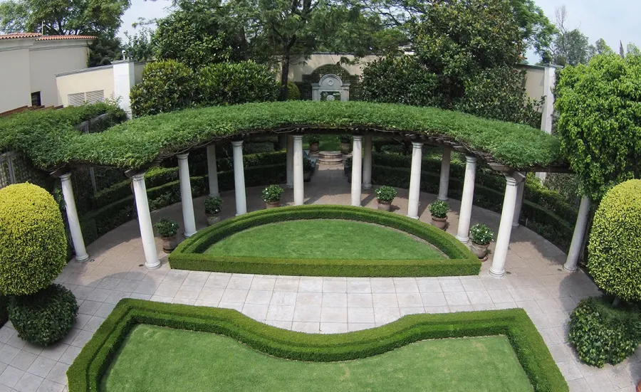 Custom Wooden Pergola (Options: 50' half circle, Old-Growth Redwood, No Posts, Transparent Premium Sealant). Pergola Installed in Mexico City. Photo Courtesy of Alfonso Barajas.