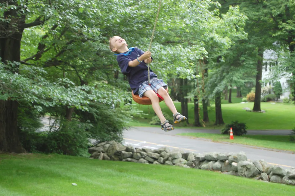 Disk Swing Seats