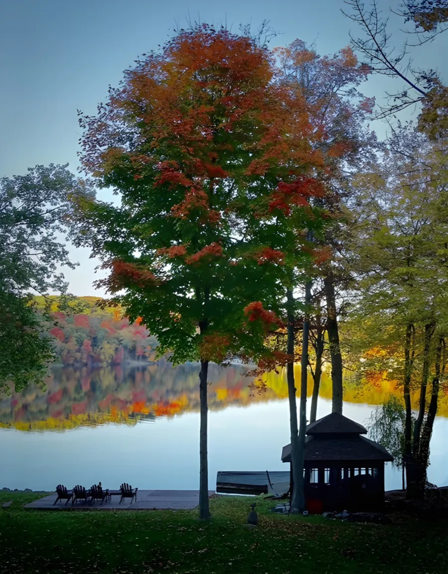 Dream Gazebos (Options: 7ft Wall Height, 10' L, 14' W, Mature Redwood, All Sliding Windows with Screens, Without Skylight, 24" H Siding Below Windows, Horizontal Siding, French Doors, Complete Floor, Set of Shingles, Transparent Premium Sealant). Photo Courtesy of Gail Edelman of Rockaway NJ.