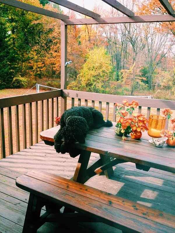 Forever Picnic Tables (Unattached Benches) (Options: 6' L, 34 ½in W, Side Benches, Mature Redwood, 1 Full Length Side Benches Per Side, Forever Style Benches, Standard Tabletop, Rounded Corners, No Umbrella Hole, Transparent Premium Sealant). Photo Courtesy of Angela Gomez of Simsbury, Connecticut.