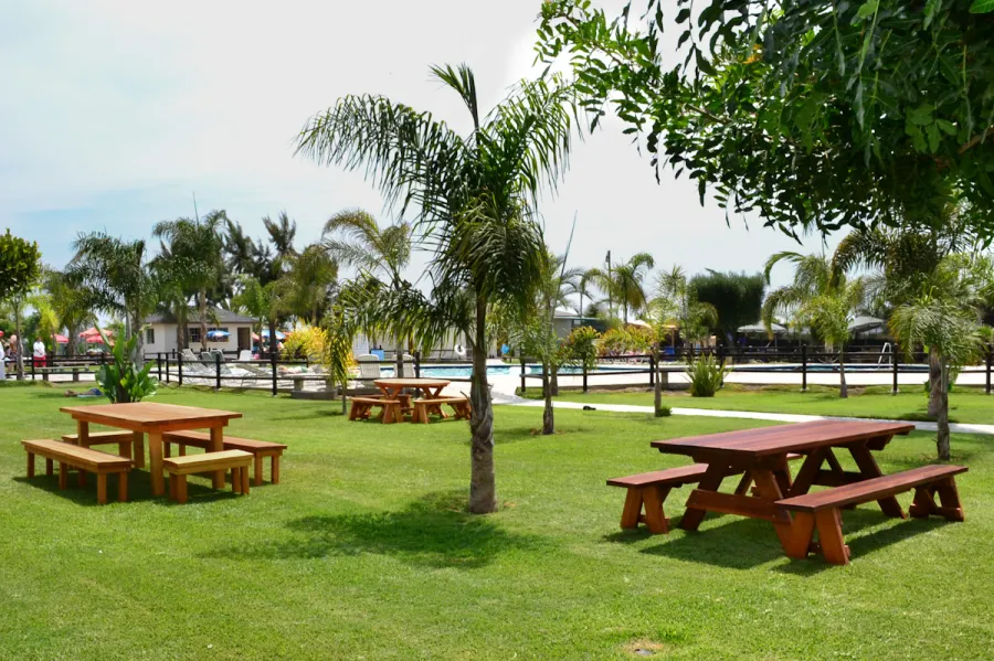 Forever Picnic Tables (Unattached Benches) (Options: 8' L, 34 ½in W, Side Benches, Old-Growth Redwood, 1 Full Length Side Benches Per Side, Standard Tabletop, Slightly Rounded Corners, No Umbrella Hole, Transparent Premium Sealant). 