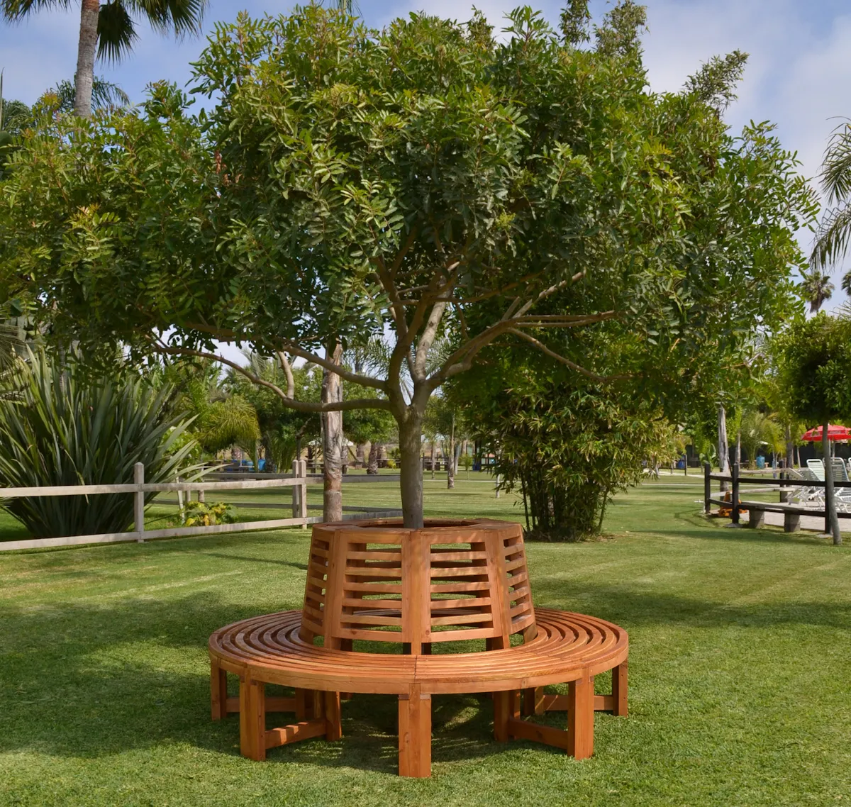 Forever Wood Tree Bench