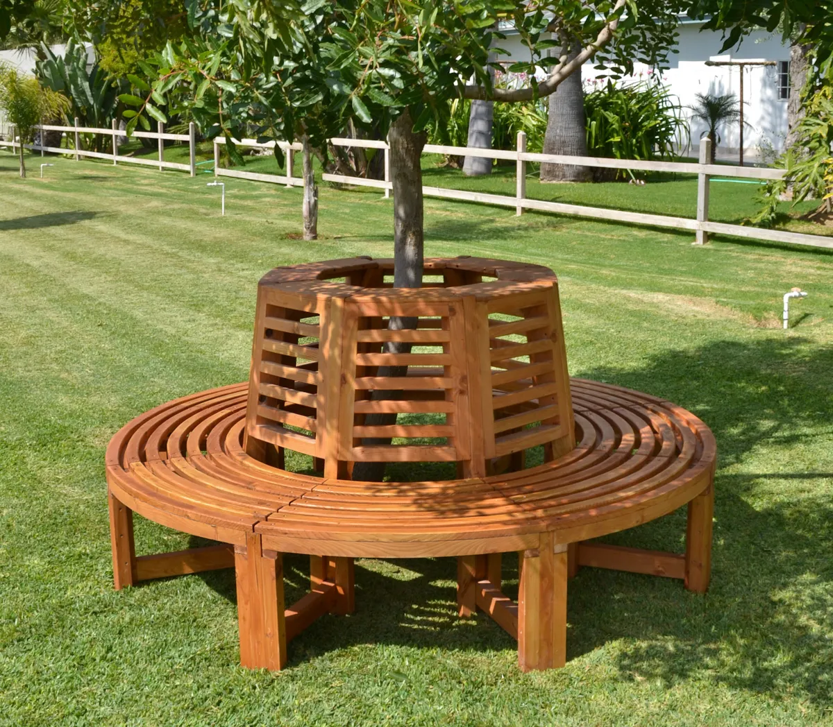 Forever Wood Tree Bench