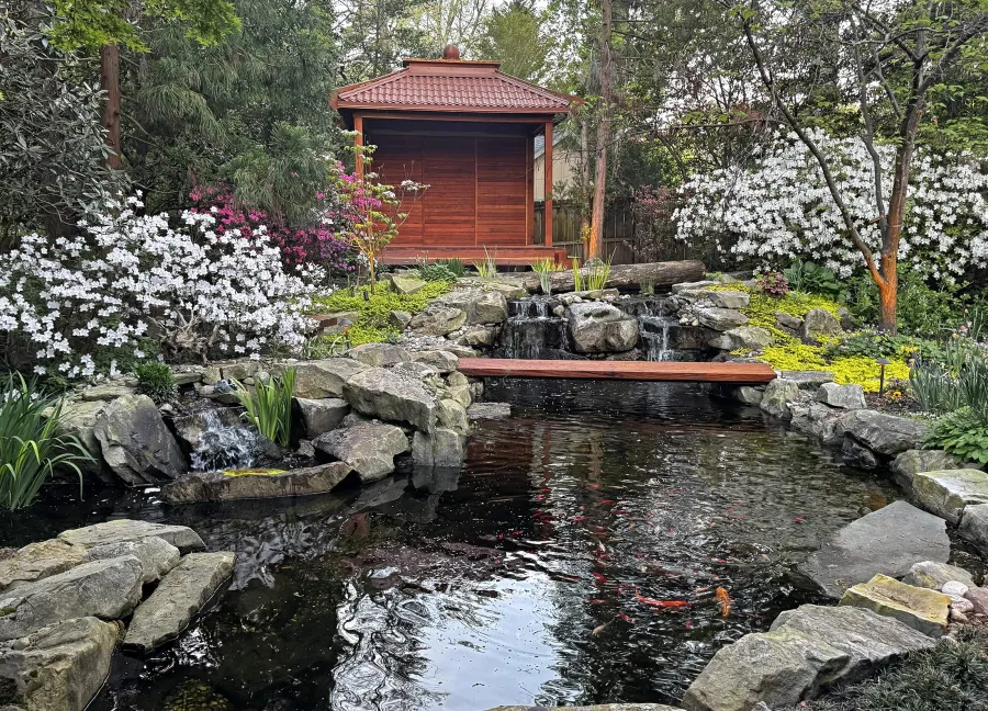 Custom Kikue's Tea House (Options: 8 ft L x 12 ft W, 8' H Wall, 6x6 Posts, Metal Roof, California Redwood, Only One Fixed Wall, Custom Deck with Steps on Both Sides, Transparent Premium Sealant). Photo Courtesy of A. Poklepovic of Henrico, VA.