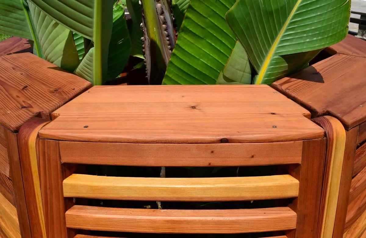 Luna Redwood Tree Bench, California Redwood
