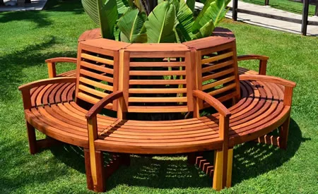 Luna Redwood Tree Bench