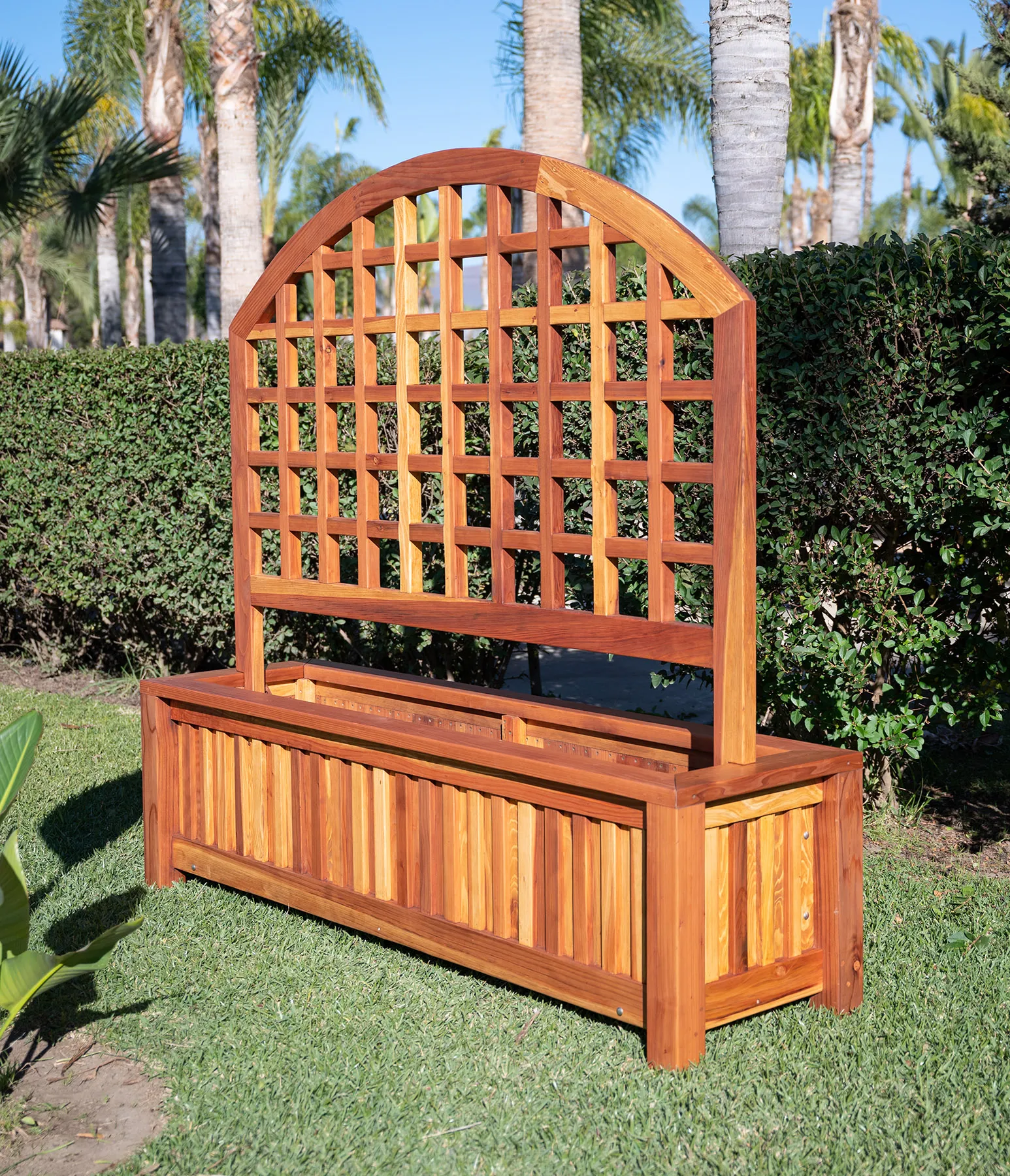 Mission de Oro Planters