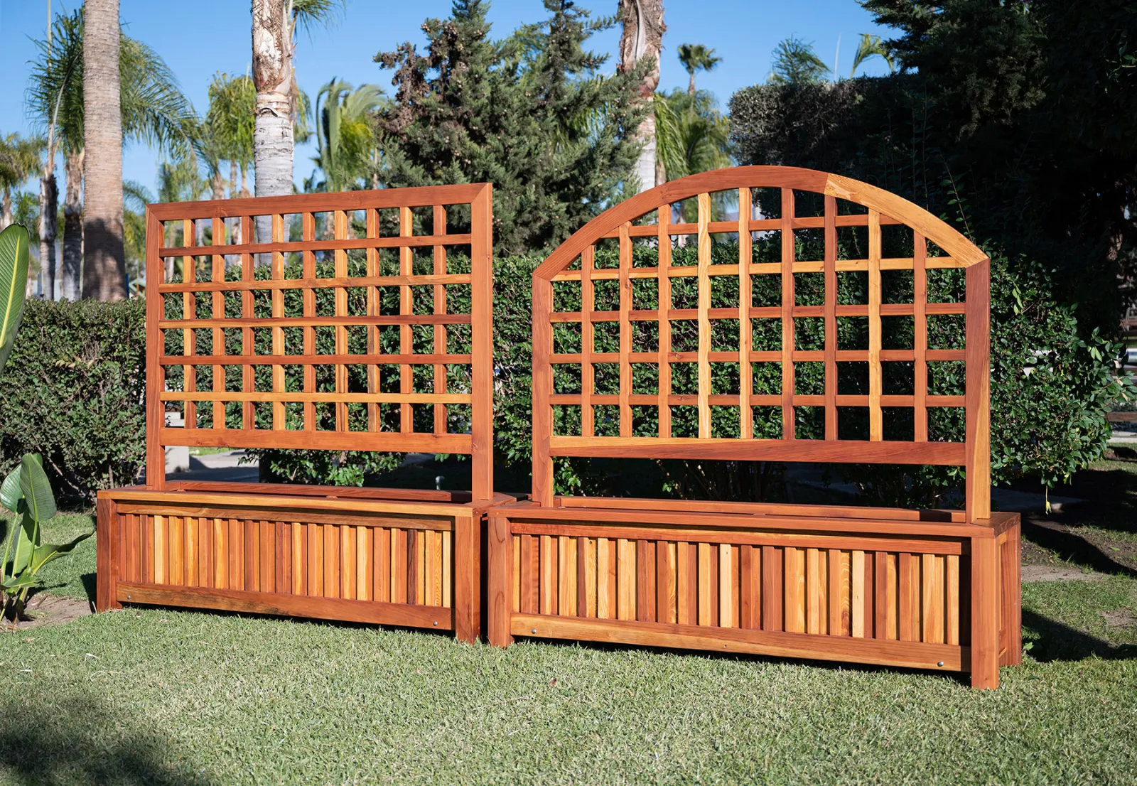 Mission de Oro Planters