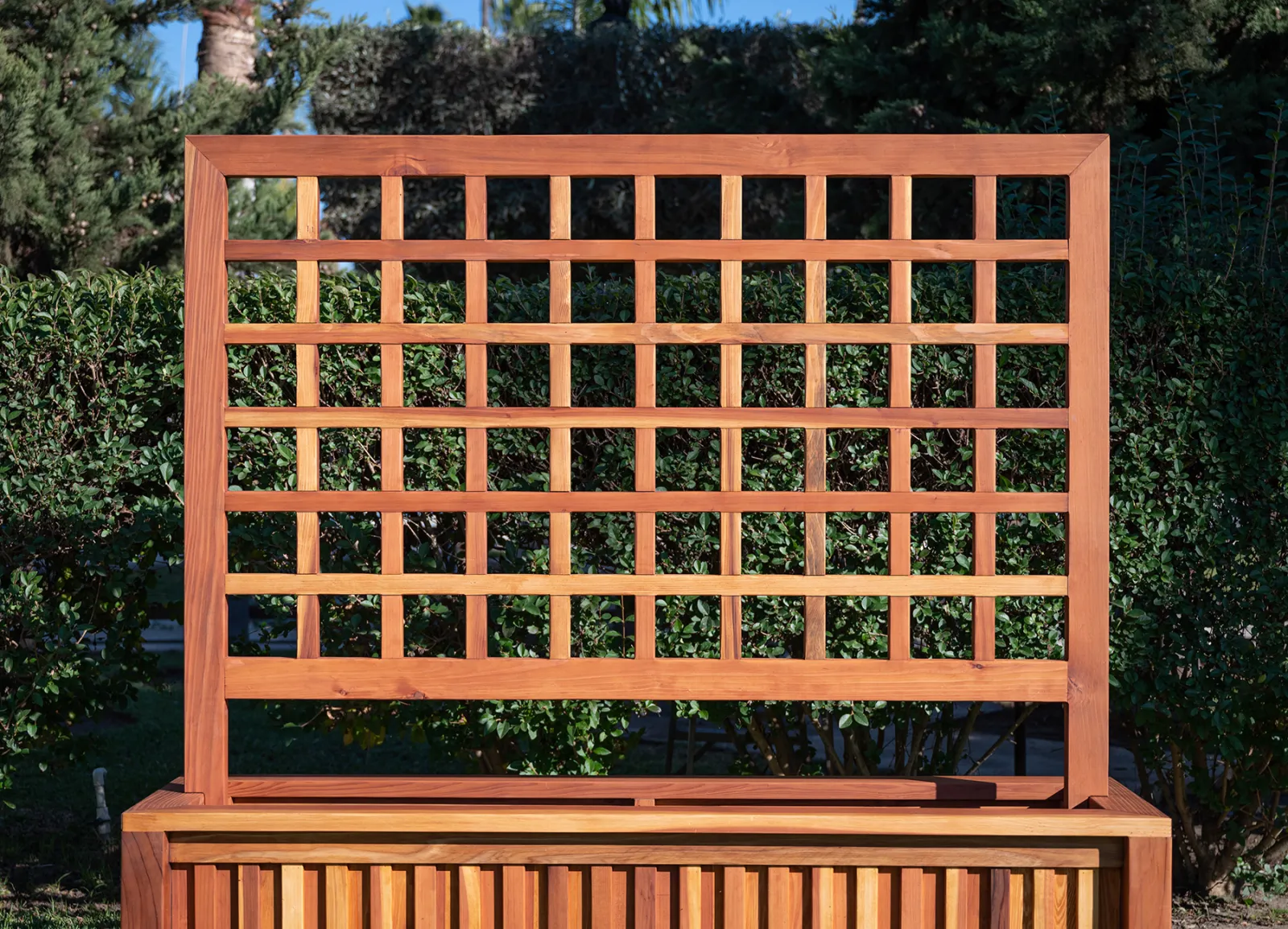 Mission de Oro Planters
