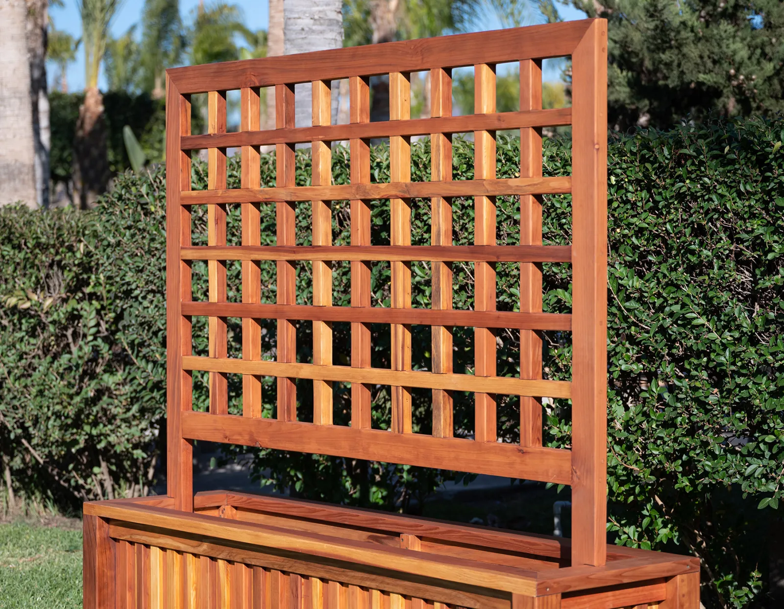 Mission de Oro Planters