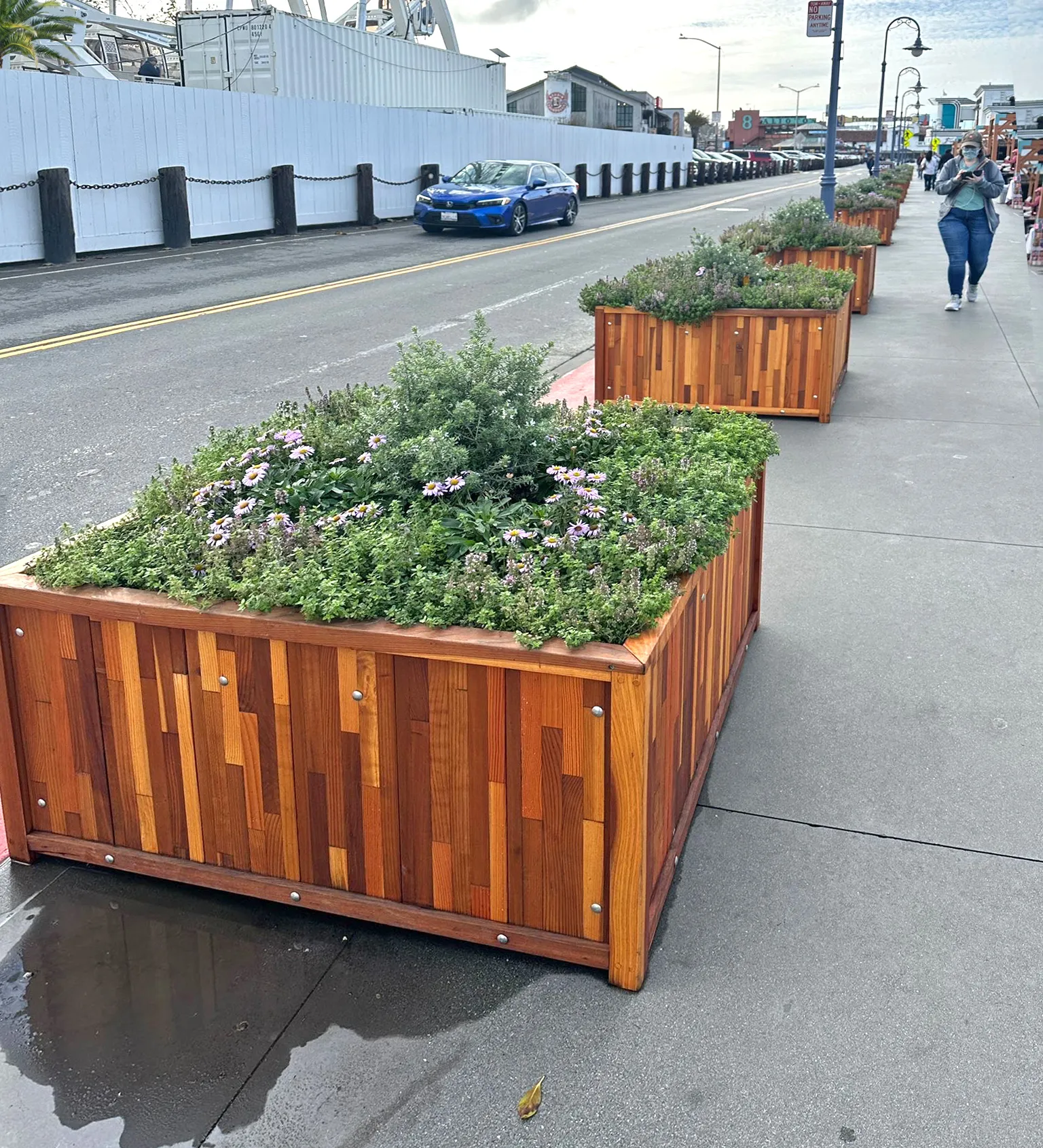 Napa Planters