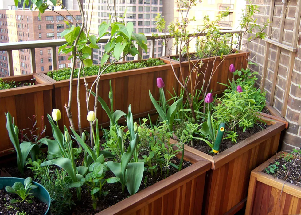 Napa Planters