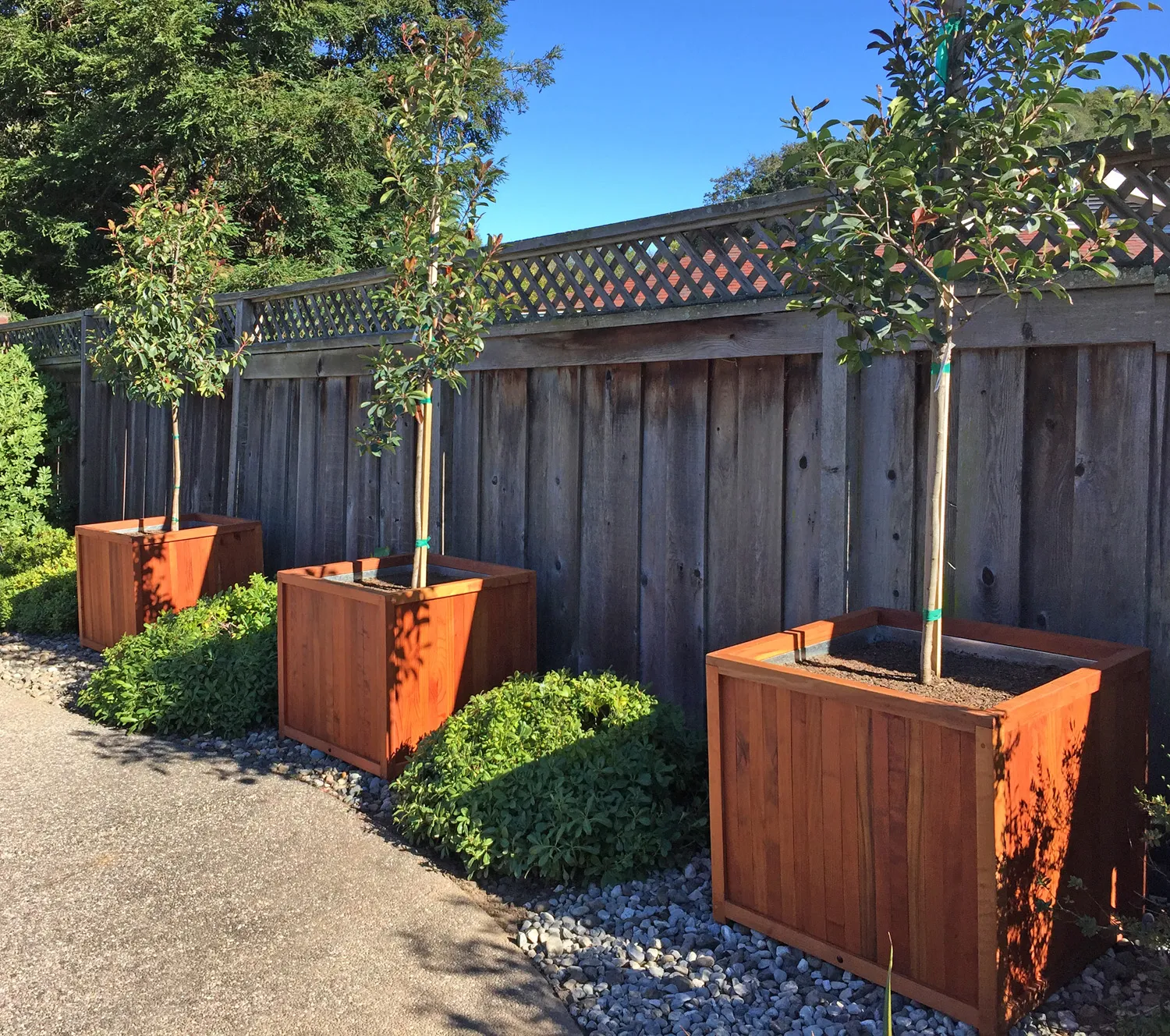 San Ramon, CA