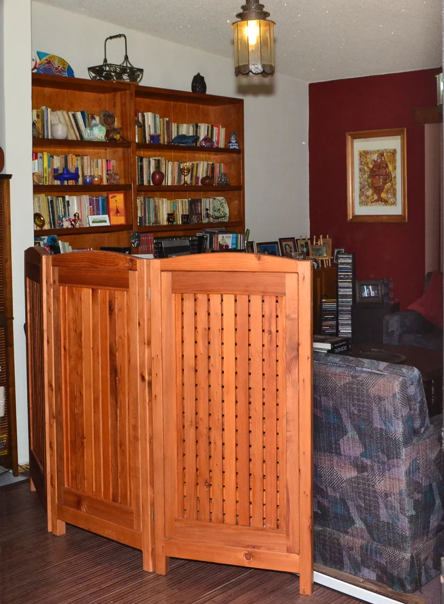Privacy Screens