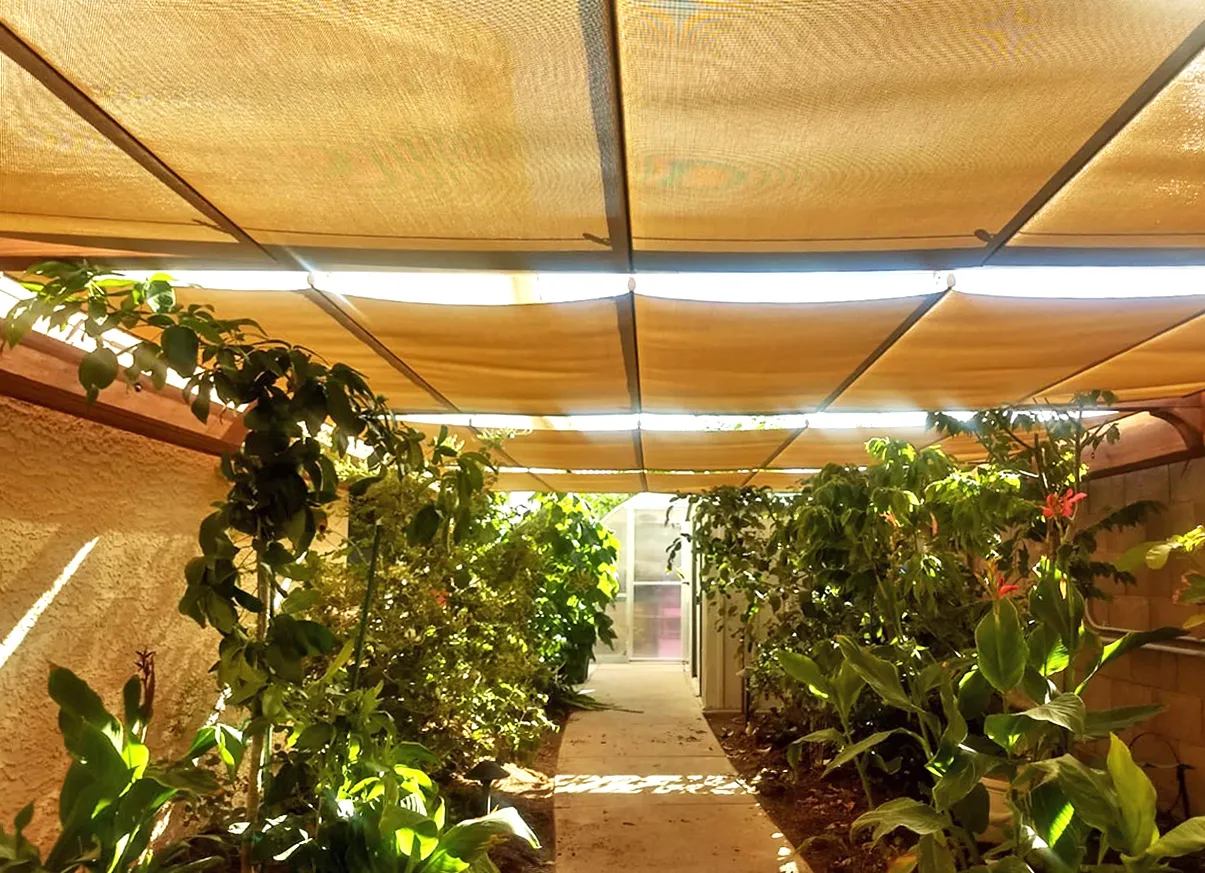 Custom Retractable Canopy Pergola, 23' L x 12.5' W, California Redwood, in Phoenix, Arizona