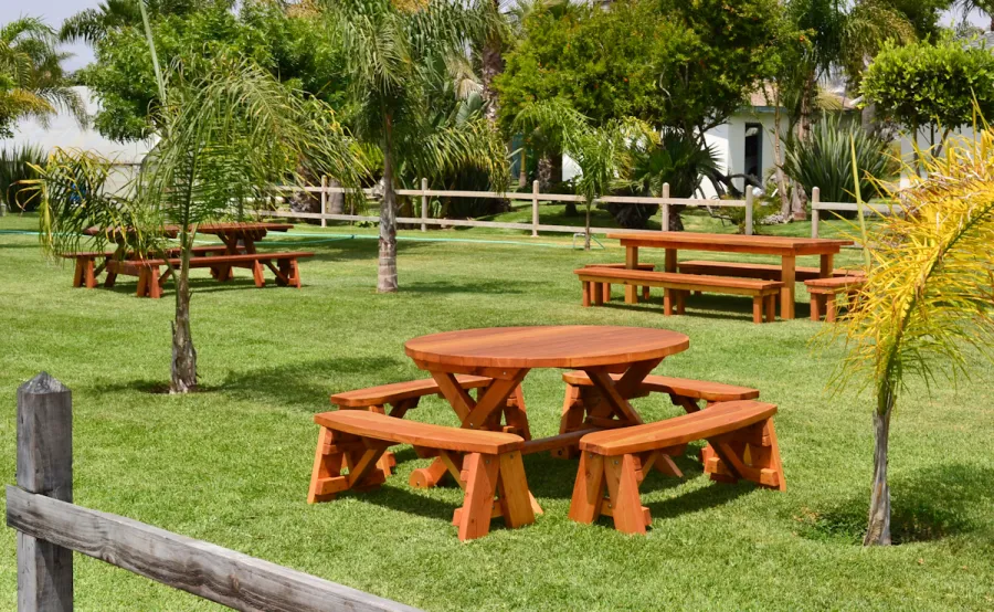 Round Wood Picnic Table with Wheels (Options: 5' Diameter, Unattached Benches,  Redwood, Round Picnic Benches, Standard Tabletop, No Lazy Susan, No Umbrella Hole, Transparent Premium Sealant). Rectangular Picnic Table and Rectangular Patio Table in background. 