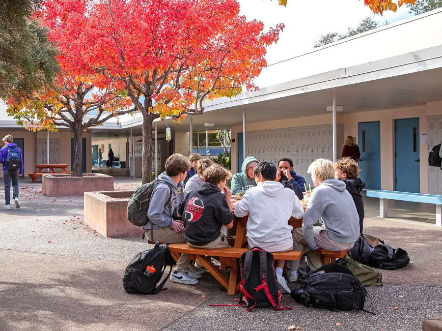 Round Wooden Picnic Tables (Attached Benches) (Options: 5' Diameter, Attached Benches, Douglas-fir, Standard Tabletop, No Lazy Susan, No Umbrella Hole, Transparent Premium Sealant). Photo Courtesy of Marin Catholic High School in Kentfield, CA.