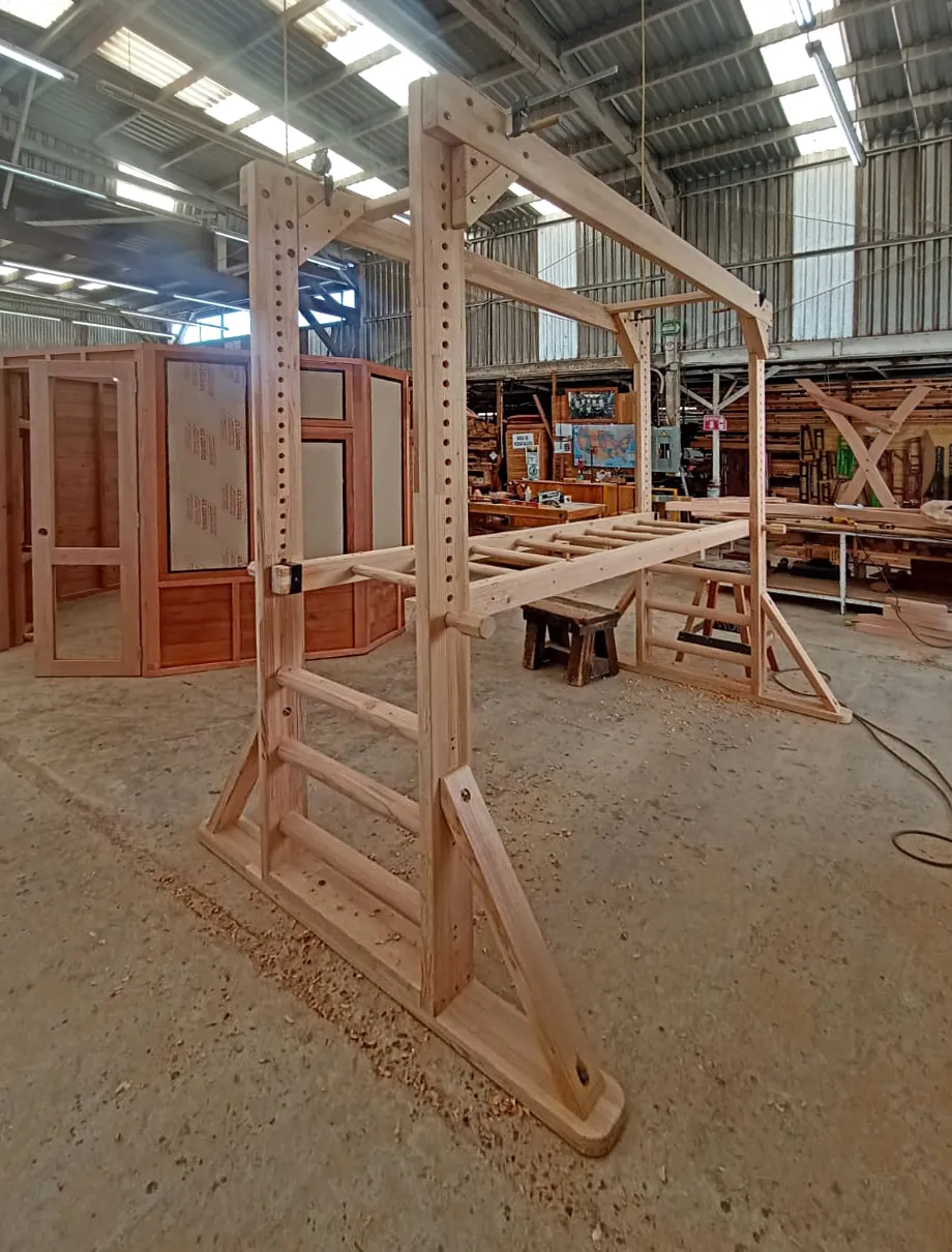 Sheldon's Monkey Bars
