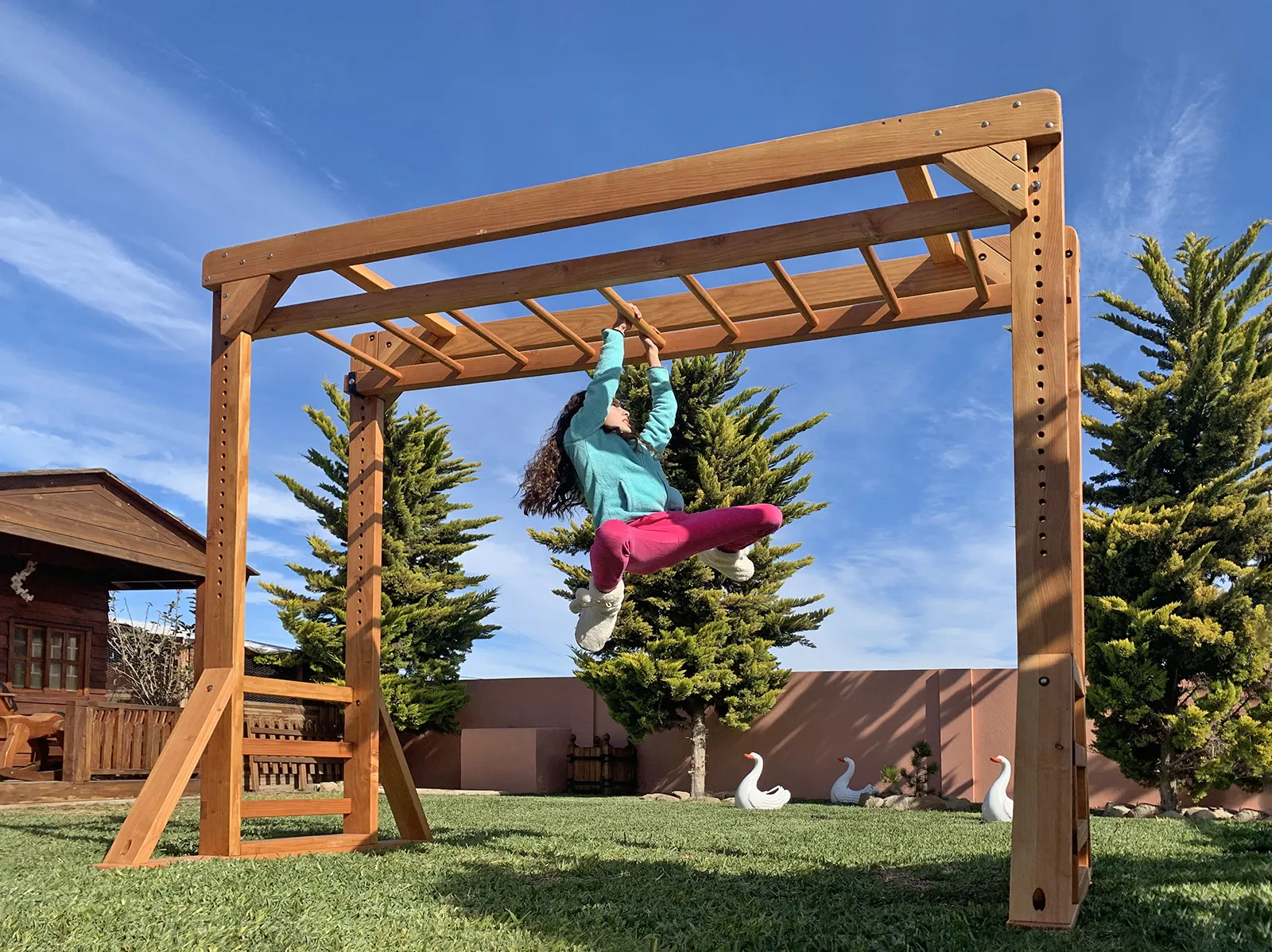 Sheldon's Monkey Bars