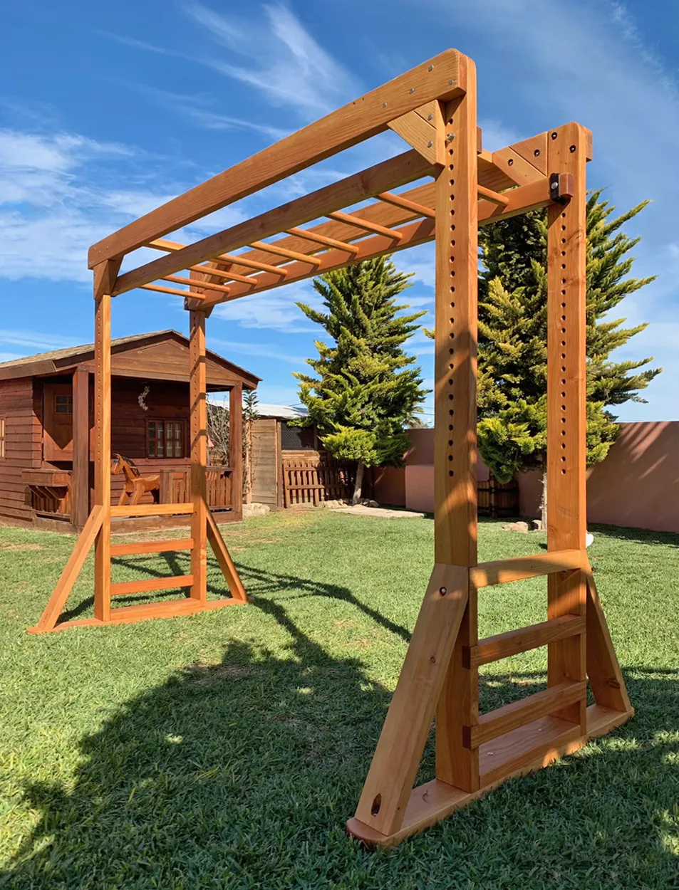 Sheldon's Monkey Bars
