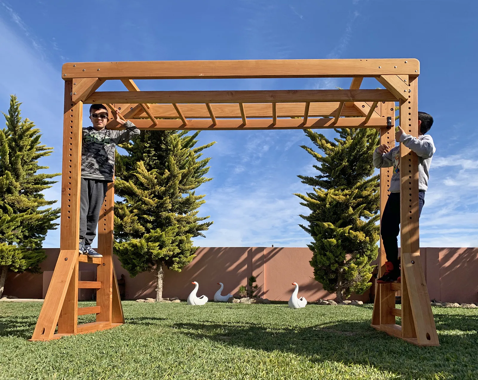 Sheldon's Monkey Bars
