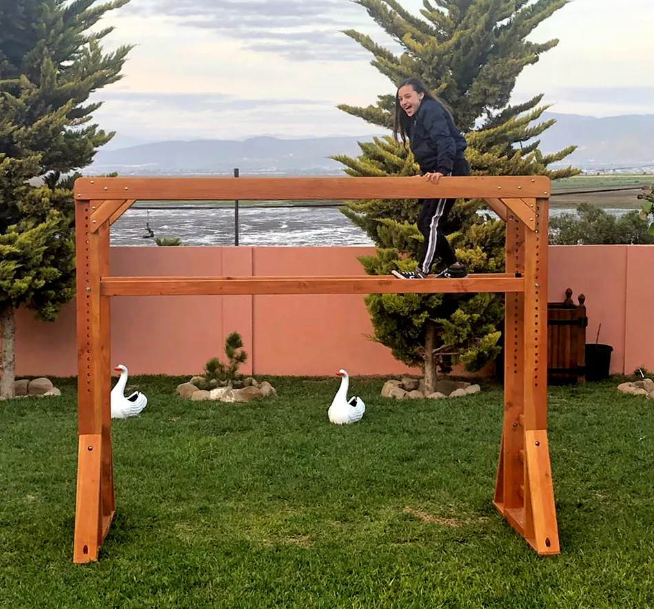 Sheldon's Monkey Bars