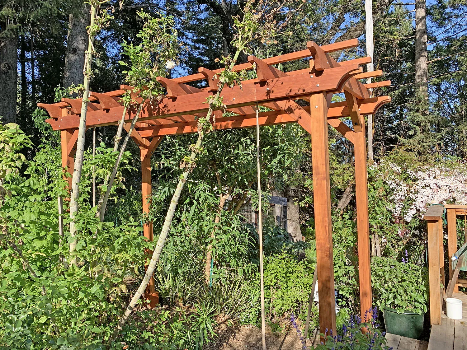 Small Garden Pergola Kit, 12' L x 6' W, Mature Redwood, in Guerneville, California