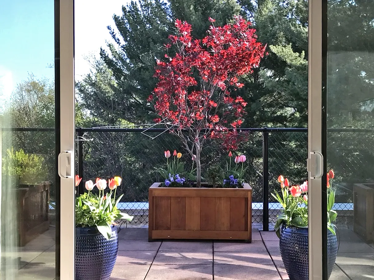 Arlington, VA
