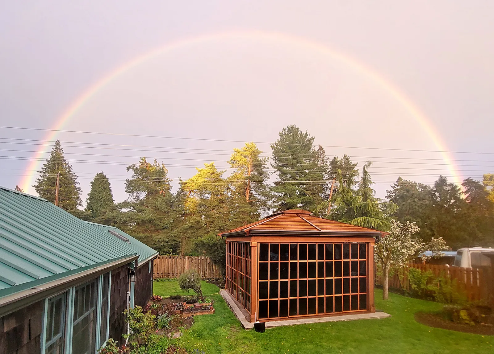 After the rain
