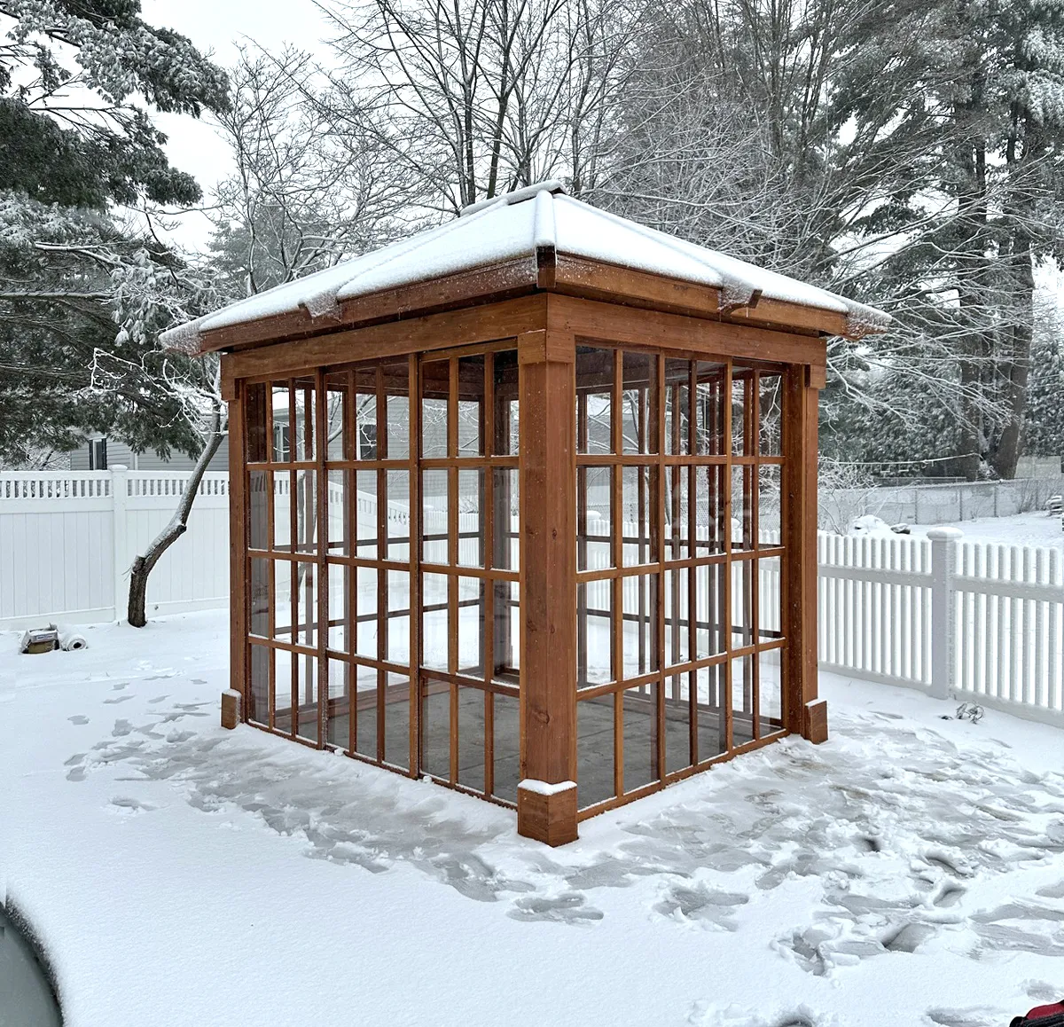 Snowy backyard