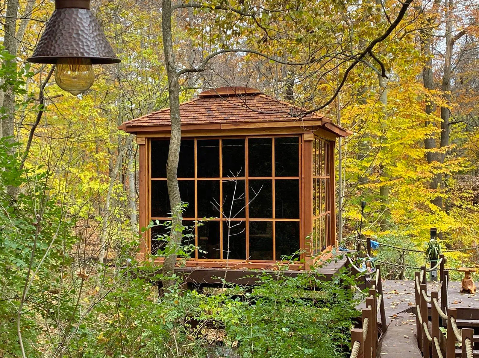 Fall in the woods