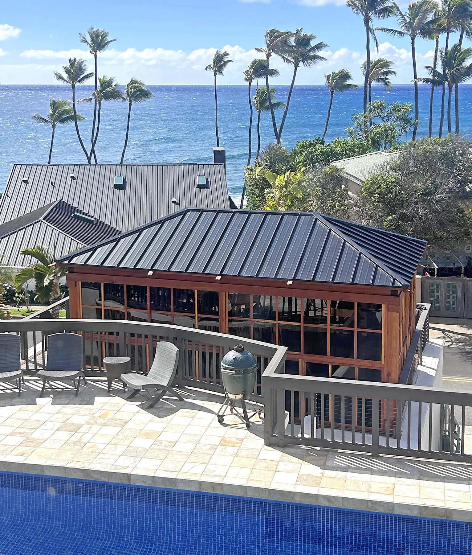 Ocean view with palms