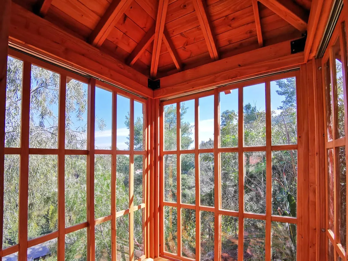 Treetop views