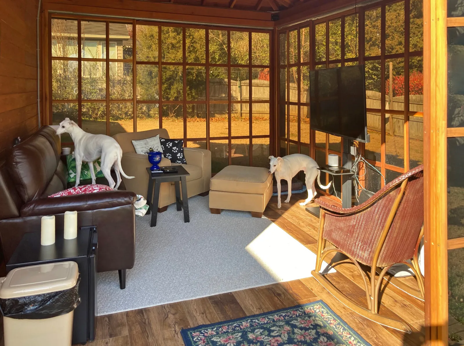 Cozy family room