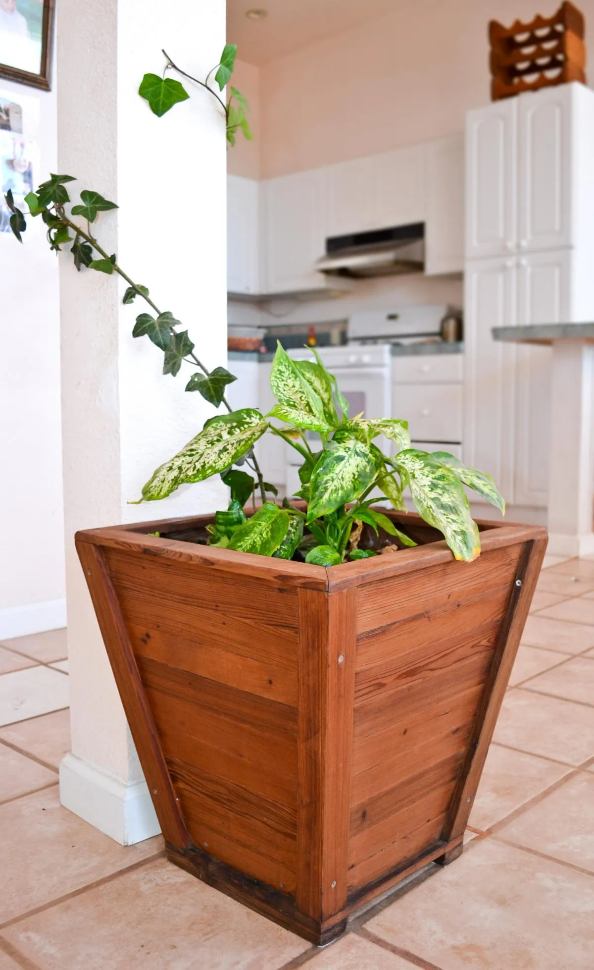 Tapered Planters