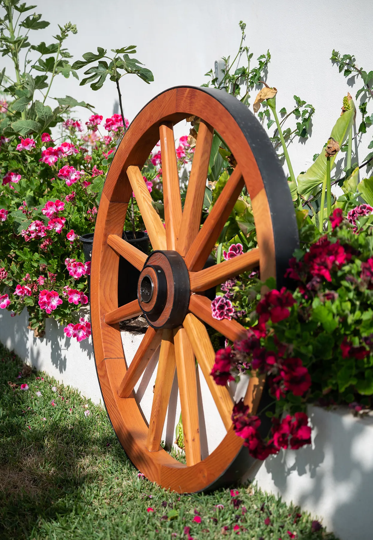 The 19th Century Wild West Wagon Wheel, Douglas-fir