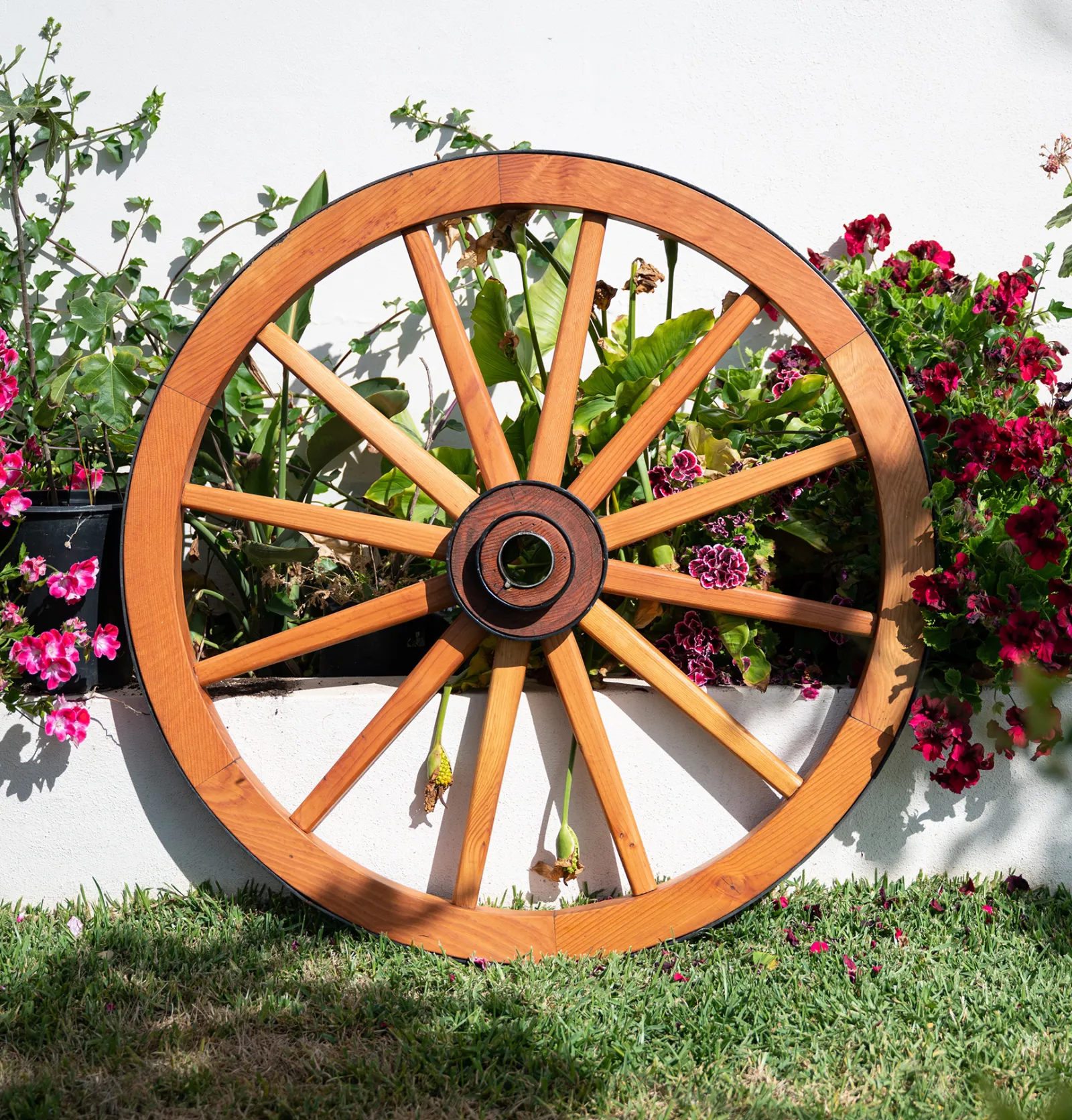The 19th Century Wild West Wagon Wheel, Douglas-fir