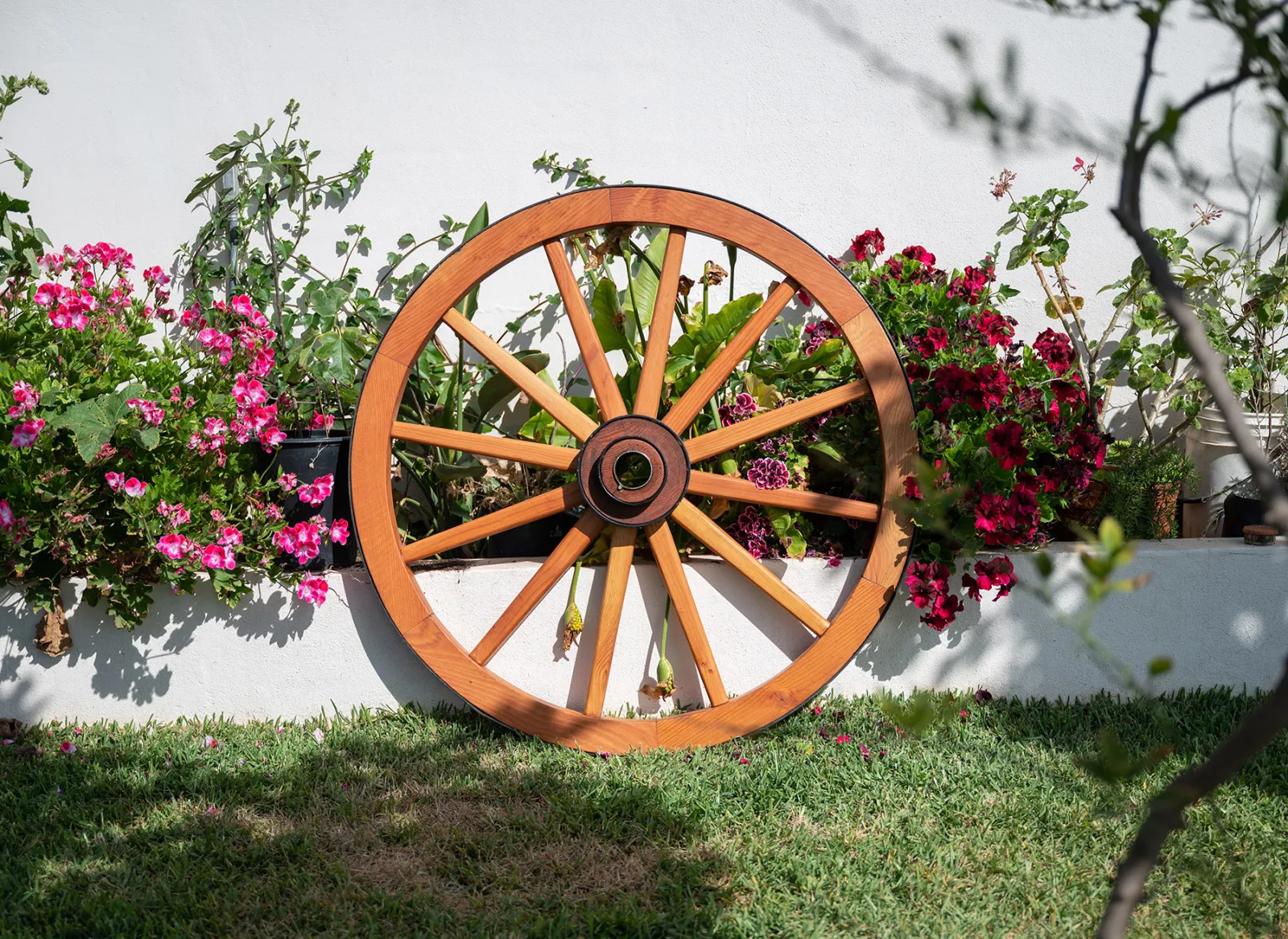 The 19th Century Wild West Wagon Wheel, Douglas-fir
