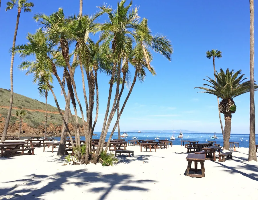 Classic Redwood Patio Table (Options: California Redwood, Side Benches, 1 Full Length Bench Per Side, Standard Tabletop, Slightly Rounded Corners, No Umbrella Hole, Coffee Stain Premium Sealant). Photo Shows Customized Version of Patio Tables. Tables Installed in Catalina Island, CA.