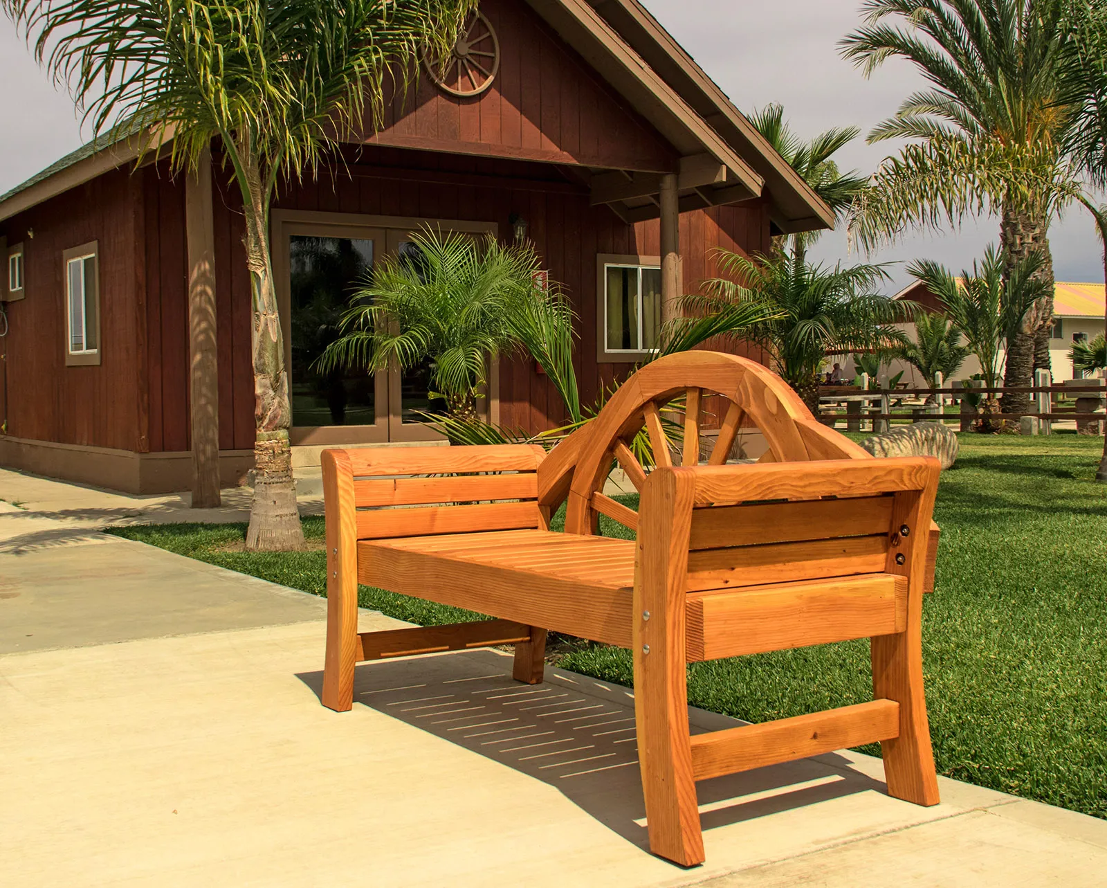 Dawn Bench