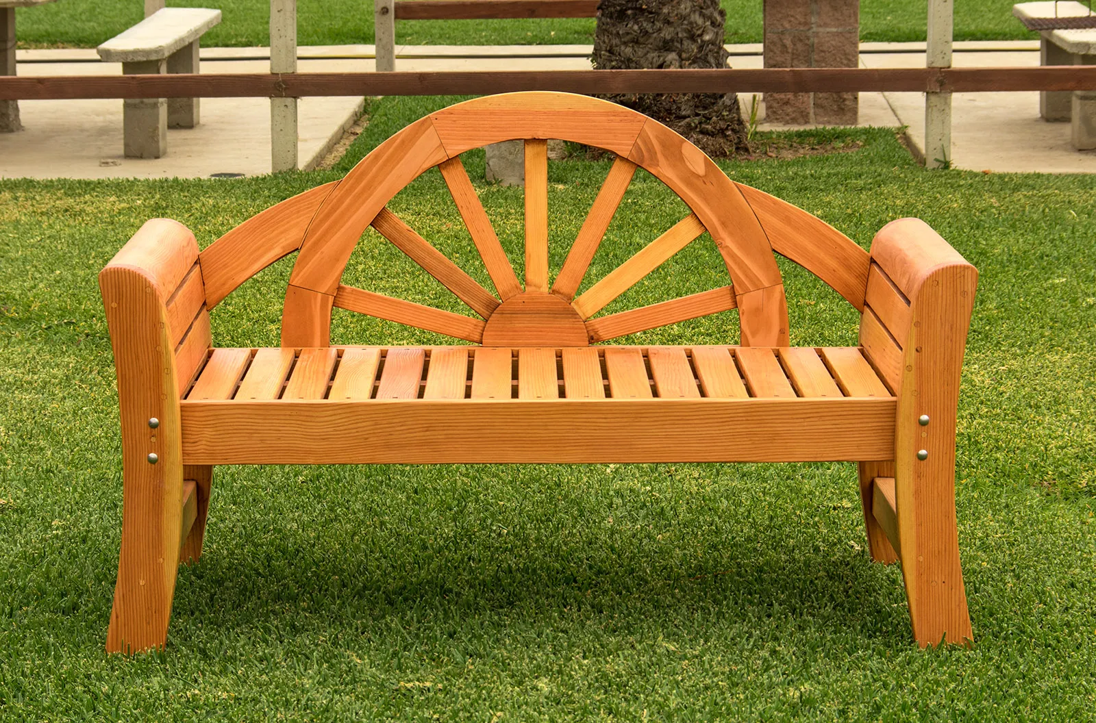 Dawn Bench