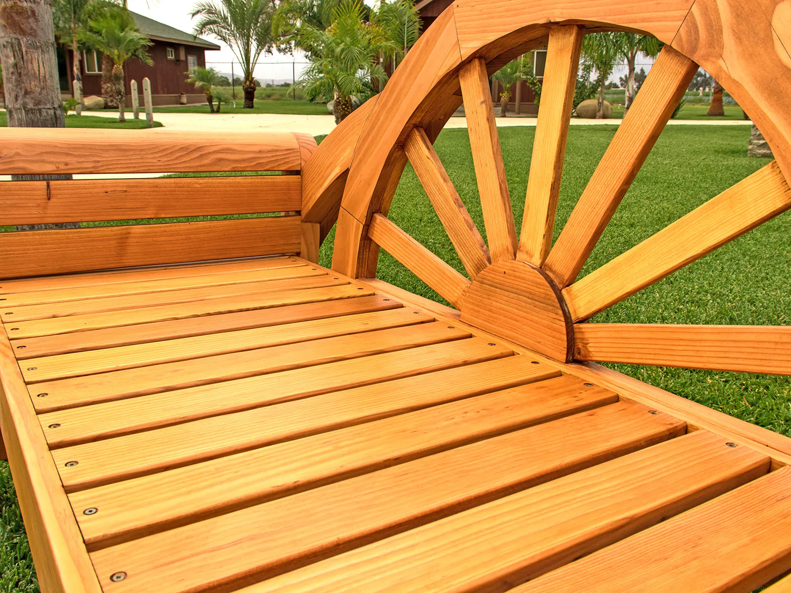 Dawn Bench