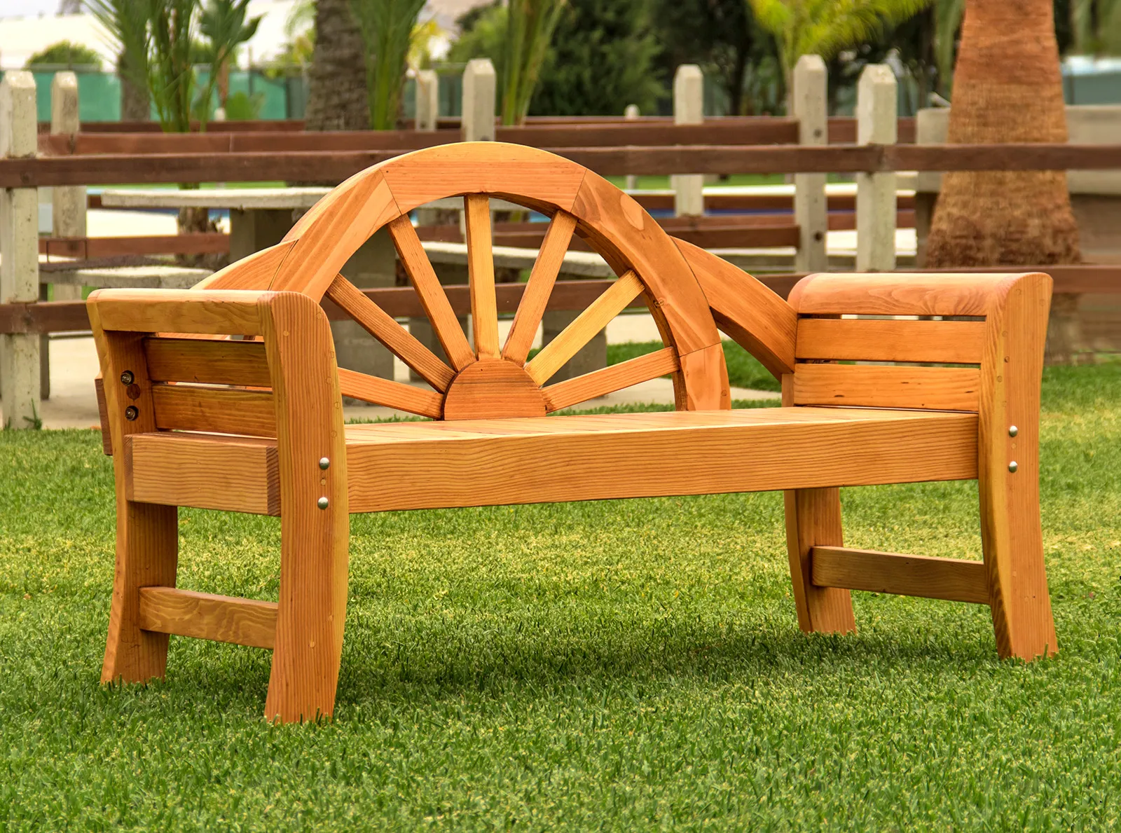 Dawn Bench