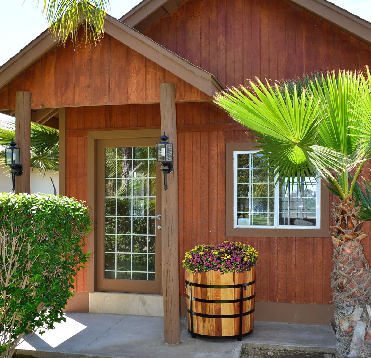 Half Barrel Planters