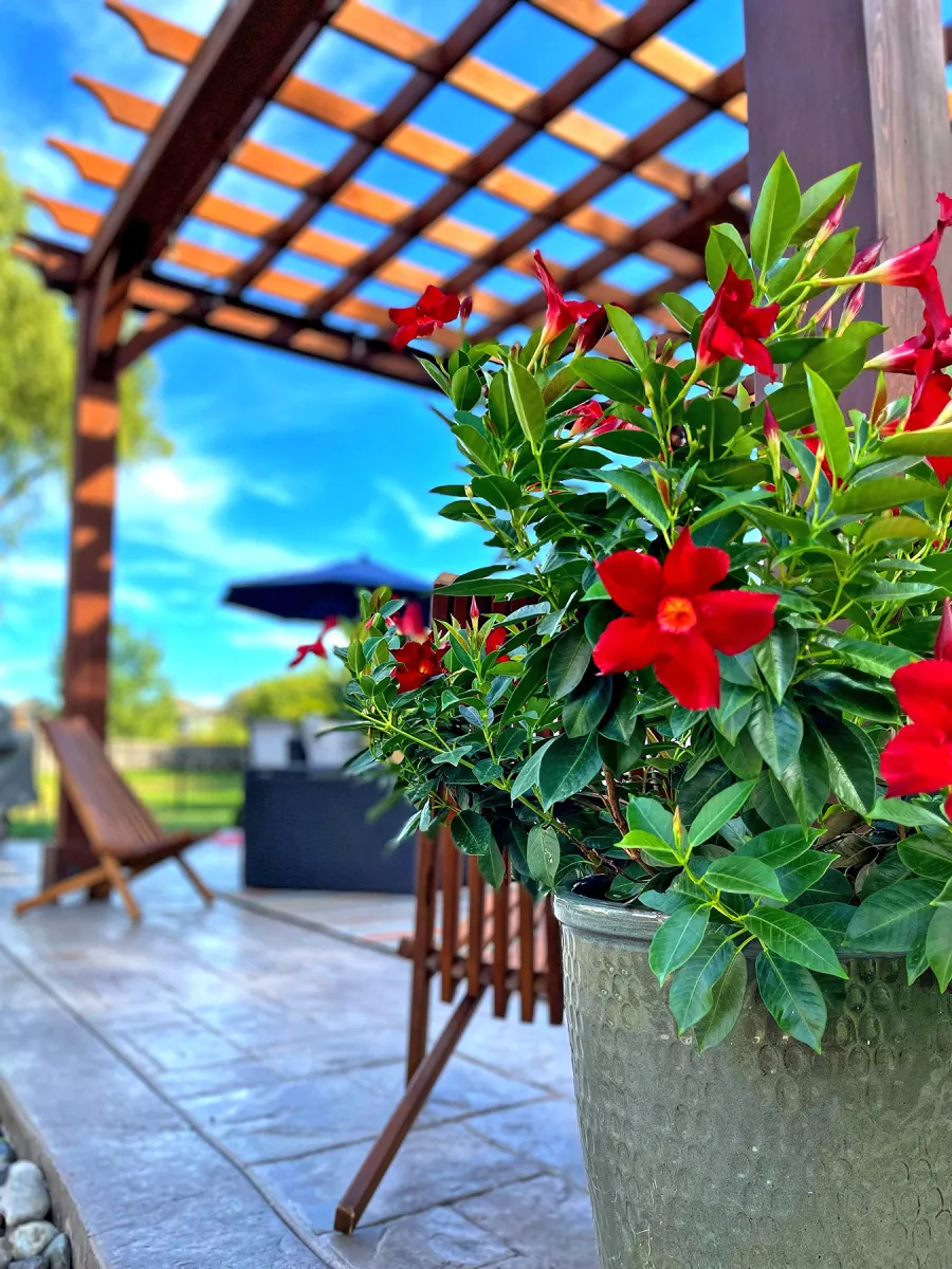 Montvale Pergolas (Options: 16' x 16', Douglas-fir, 10 ft H, 1 Ceiling Fan Base, No Post Decorative Trims, Coffee-Stain Premium Sealant). Photo Courtesy of Billy & Brianne Foster of Olathe, KS.
